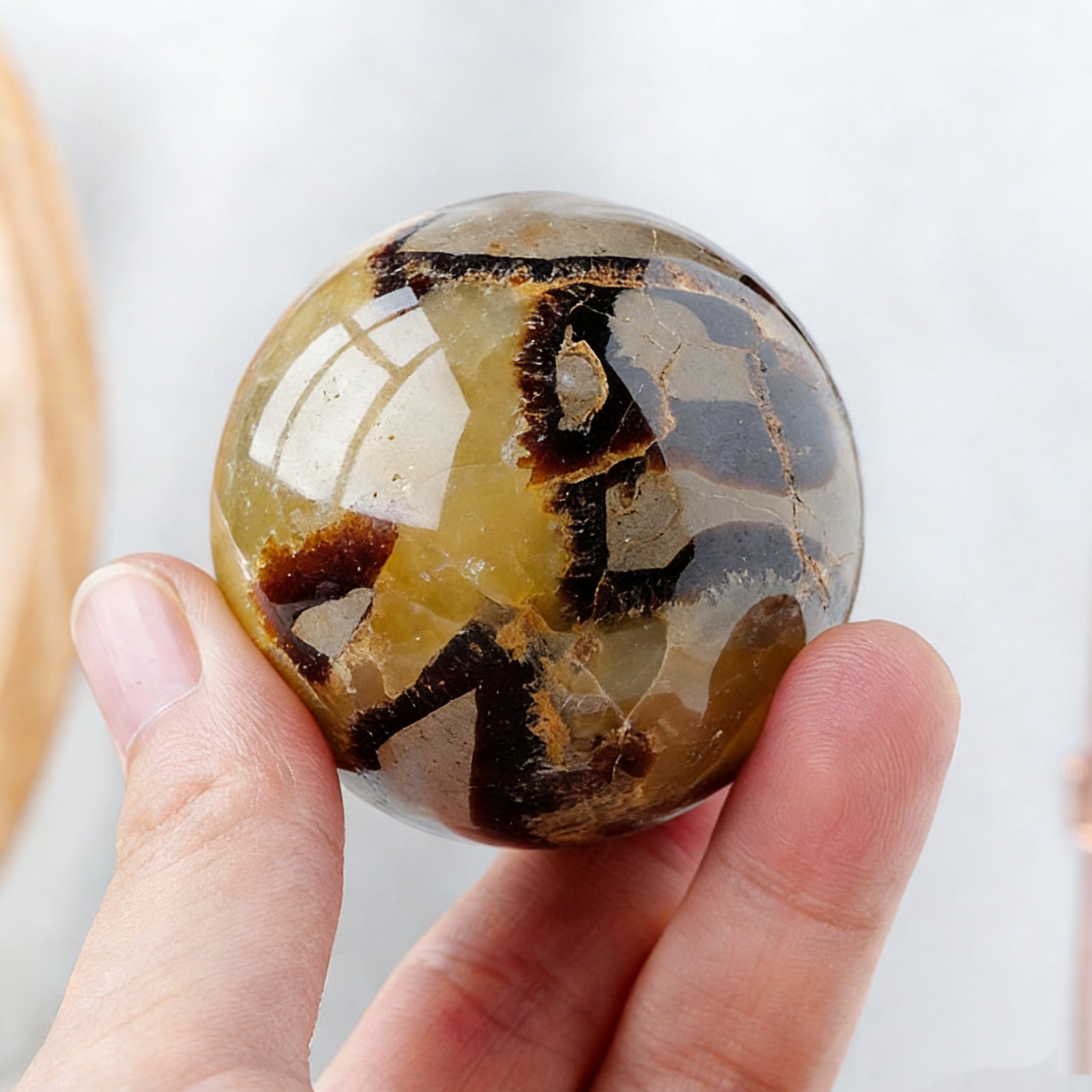Tortoise Shell Stone Sphere(Comes with a base)